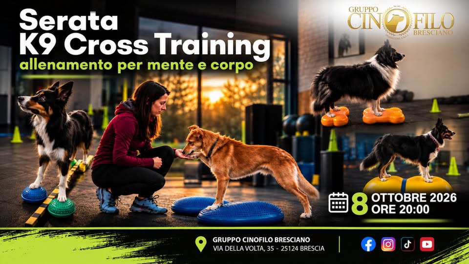 Plakat von Serata K9 Cross Training: Allenamento per mente e corpo