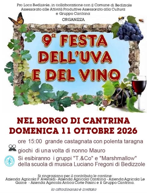 Plakat von 9ª Festa dell'Uva e del Vino